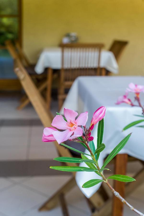 Regia Panzio Bed & Breakfast Halaszi Exterior photo